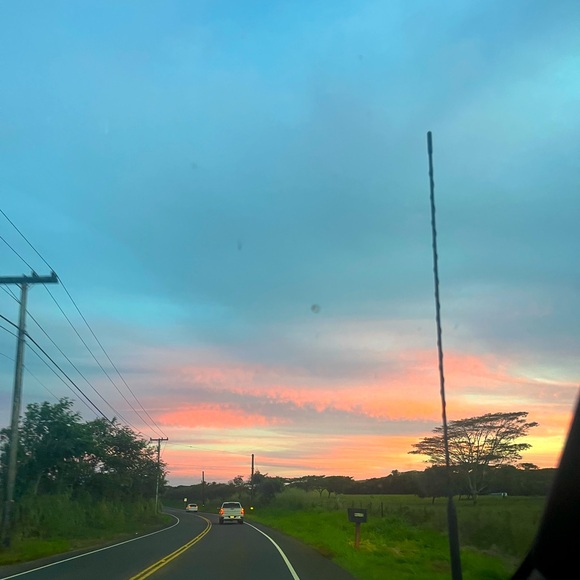 Meet your Posher, Cora - Picture 1 of 1